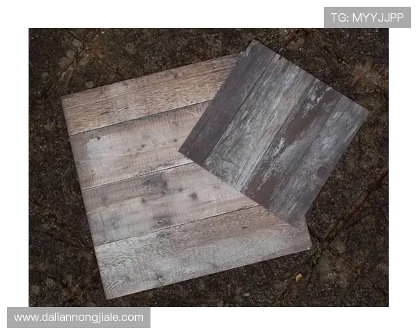 凯发网站app优化升级内容详解,提升游戏体验的最新技术与操作技巧 凯发网站app优化升级内容详解,提升游戏体验的最新技术与操作技巧