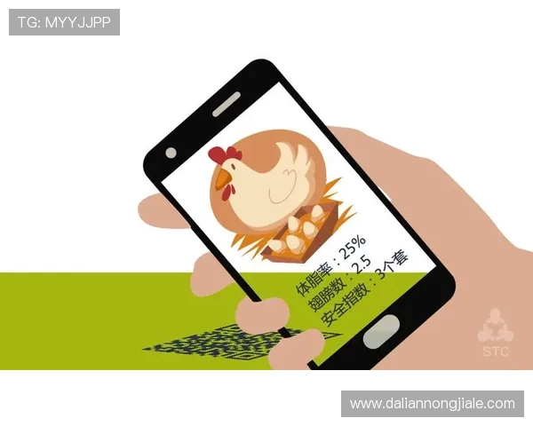 凯发旗舰厅APP注册流程优化提升用户体验的实用技巧