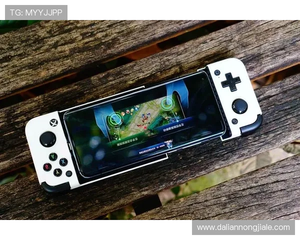 凯时ag旗舰厅官网，稳定快速的游戏平台，支持多设备随时随地畅玩精彩游戏内容