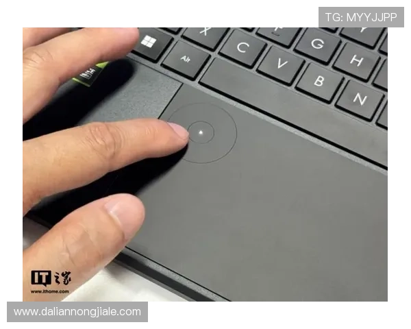 K8凯发官网下载官方平台，确保账号安全和游戏数据完整