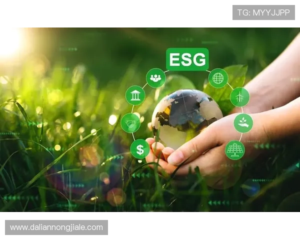 凯发公司：可持续发展与绿色环保的企业责任实践