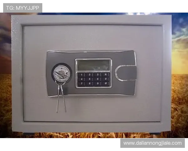 凯发k8官方入口详细介绍安全保障措施确保玩家资金与信息安全