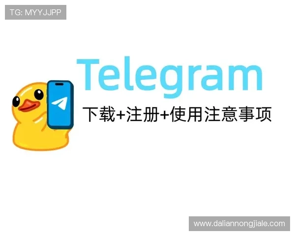 k8娱乐注册登录:详细指南帮助新手快速注册登录并保障账户安全 k8娱乐注册登录:详细指南帮助新手快速注册登录并保障账户安全