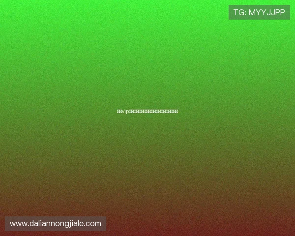 凯发vip会员专属福利全面解析让你享受极致游戏乐趣