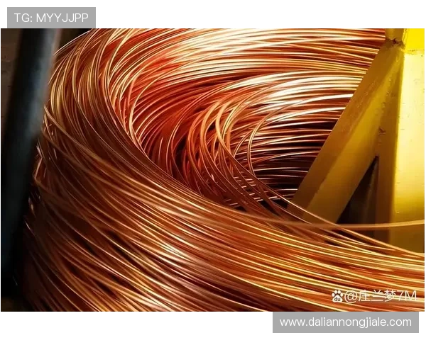 凯发集团怎么样：在行业中的品牌影响力与市场占有率分析