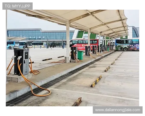 详细介绍k8凯发旗舰厅官网的支付方式与安全保障措施,保障交易安全顺畅 详细介绍k8凯发旗舰厅官网的支付方式与安全保障措施,保障交易安全顺畅